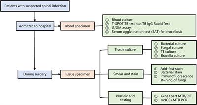 Improved accuracy of etiological diagnosis of spinal infection by metagenomic next-generation sequencing